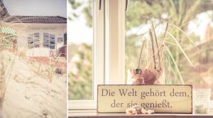 Dünen Stuuv