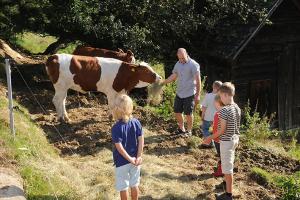 Maison d'hôtes Exenbacher Hof - Pension 1 Exenbach 93471 Arnbruck Bavière