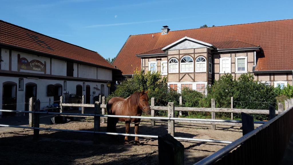 Ferienhof Hanum Hanum 15, 38489 Hanum