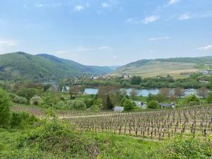 Ferienpension bei Stenze