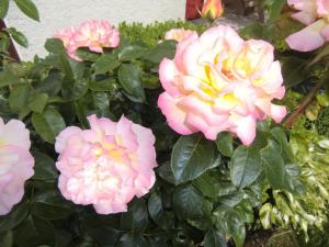 Ferienpension Fremuth