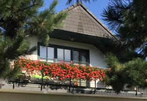 Ferienwohnung Kolb