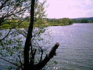 Ferienwohnung \