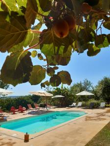 Maison d'hôtes Ferme de Lagrave Lieu-dit Lagrave 24220 Coux-et-Bigaroque Aquitaine