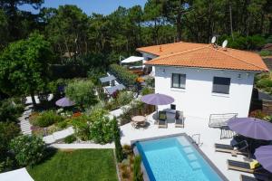 Maison d'hôtes Ferret Vigne - Villa Chambres d'Hôtes 11 Avenue du Muscat - La Vigne 33970 Le Cap Ferret Aquitaine