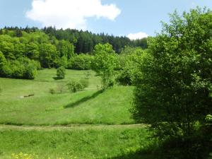 Maison d'hôtes Finken, Gästezimmer an der Rench Schwarzwaldstrasse 12 77728 Oppenau Bade-Wurtemberg