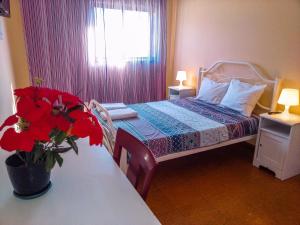 Friends in Braga - Charming Bedrooms in the Historic Center