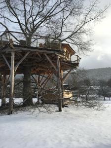 Gaïa - Les Cabanes du Chêne Rouvre
