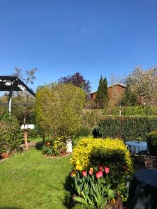 Gast-& Logierhaus Am Rheinsberger See