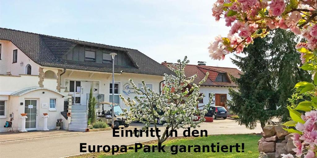 Gästehaus Elzblick Elzstr. 5, 77977 Rust