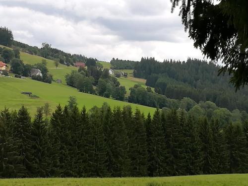 Gästehaus Forsthaus Täle