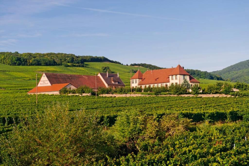 Gästehaus Hirlinger 72393 Burladingen