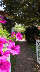 Maison d'hôtes Gästehaus Huber - original Sixties Hostel Gramsham 14 84550 Feichten Bavière