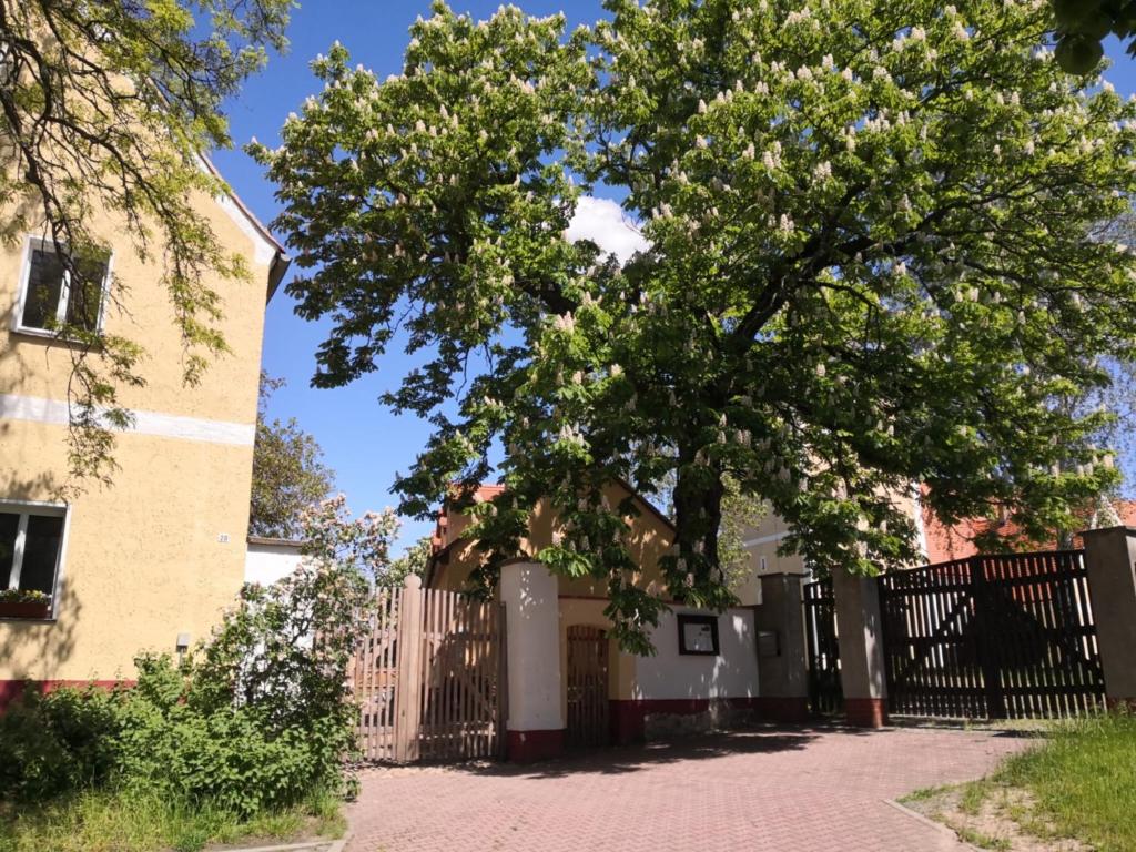 Gästehaus Liemehna 20 Dorfstraße, 04838 Liemehna
