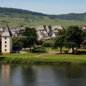 Maison d'hôtes Gästehaus & Weingut Clüsserath-Weiler Brückenstr. 9 54349 Trittenheim Rhénanie-Palatinat