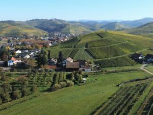 Maison d'hôtes Gästehaus Wörner Vollmersbach 2 77770 Durbach Bade-Wurtemberg