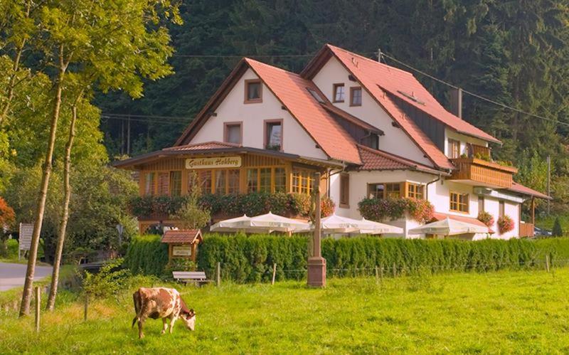 Maison d'hôtes Gasthaus Hohberg Hohenberg 11 77770 Durbach