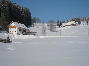 Maison d'hôtes Gasthaus Pension Donishäusle Schwärzenbach 5a 79822 Titisee-Neustadt Bade-Wurtemberg