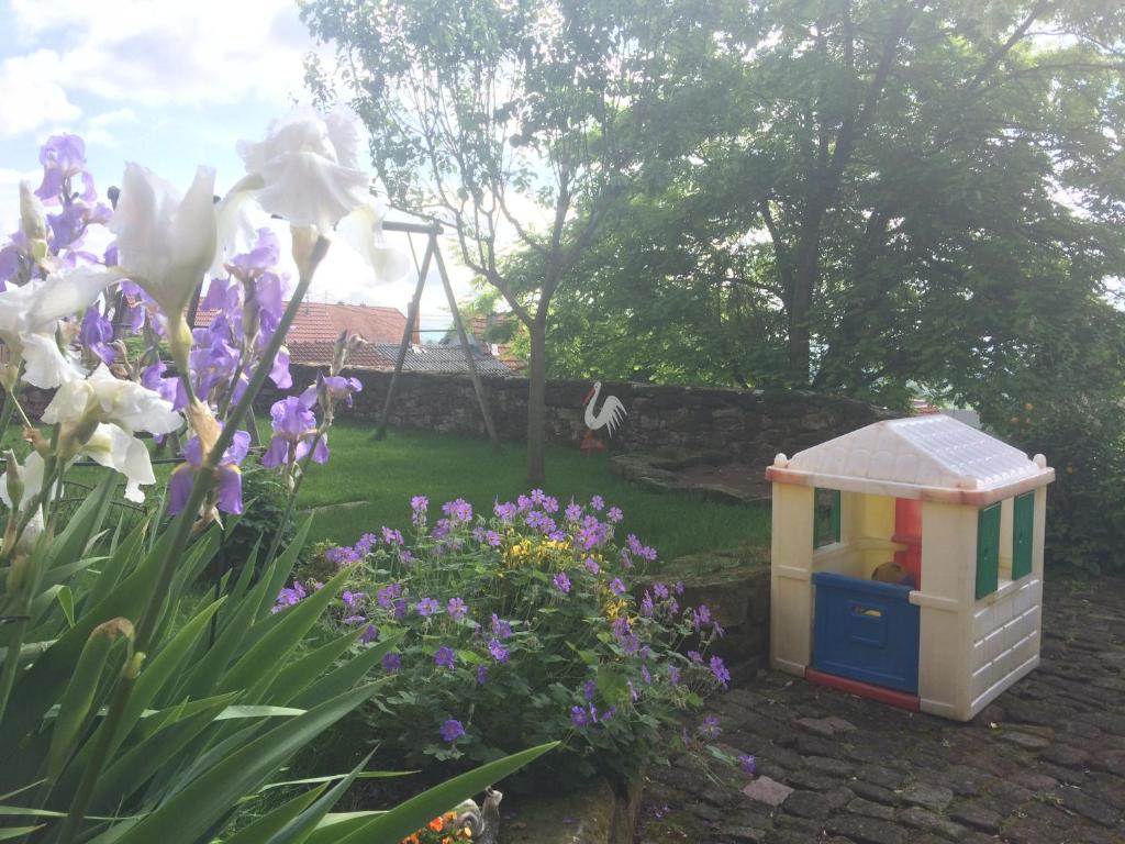 Gasthaus Stammbaum 56626 Andernach