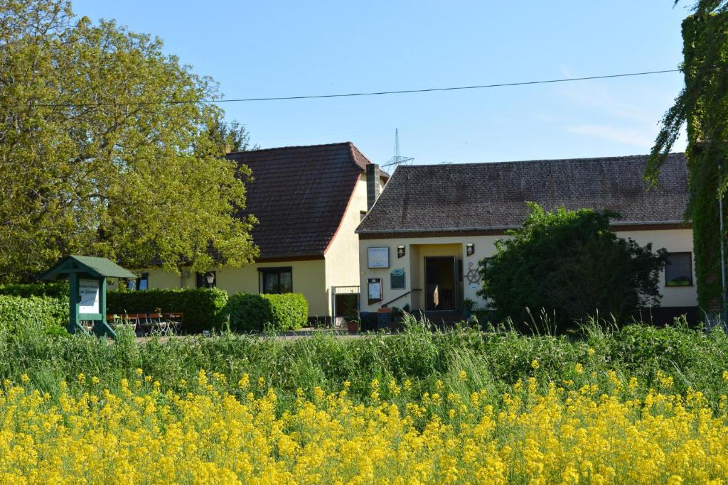 Maison d'hôtes Gaststätte \ 2 Ronney 39264 Walternienburg