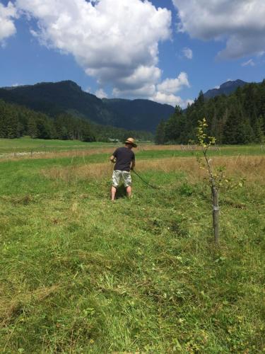 Gatterl zum See