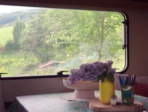 Gîte Aurinko : caravane avec bain nordique