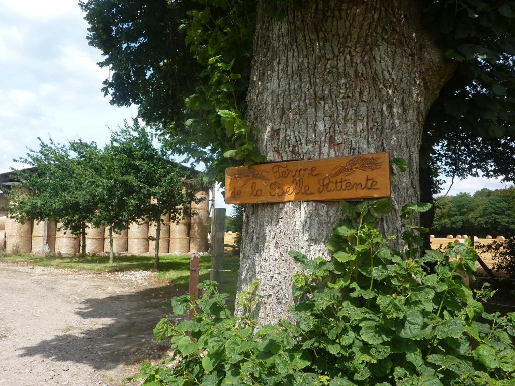 Gîte de la belle attente Ferme de la belle attente, 76390 Marques