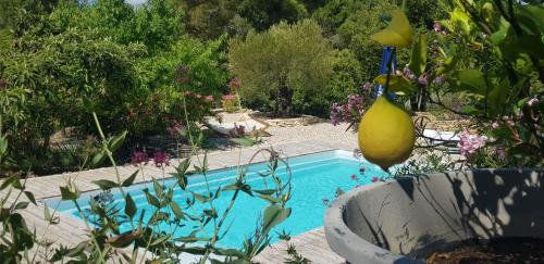 Gîte sous l'olivier