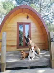 Glamping Sintra