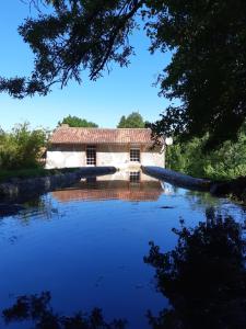 Grand gîte dans son écrin de Nature