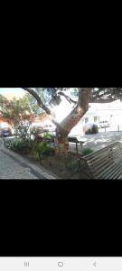 Guest House Pacifica