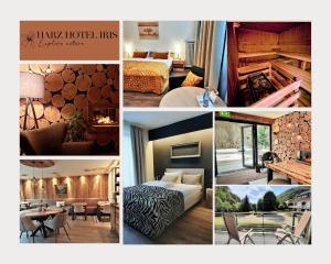 Harz hotel Iris