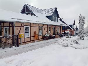 Maison d'hôtes Harz Pension Hauptstraße 2 06502 Friedrichsbrunn Saxe-Anhalt