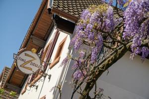 Haus Palatinum