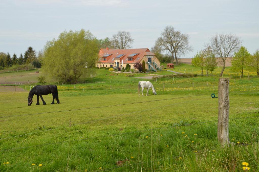 Maison d'hôtes Heu-Ferienhof Altkamp Altkamp 1 18581 Putbus