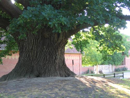 Hof Grafeneiche