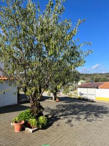 Maison d'hôtes Hospedaria O Castelo Rua Luís de Camões Lote 6 7220-357 Portel Alentejo