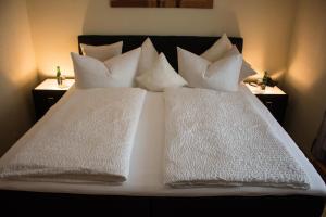 Hotel Ammerland garni