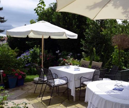 Hotel Ebnet Garni