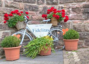 Hotel Fidelitas