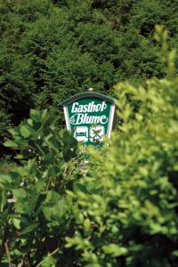 Hotel - Gasthof Blume