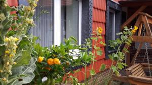 Hotel Kniep