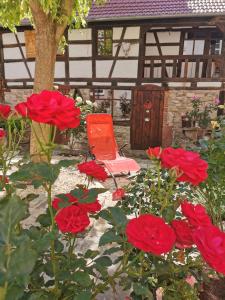 Hotel Mohrenbrunnen