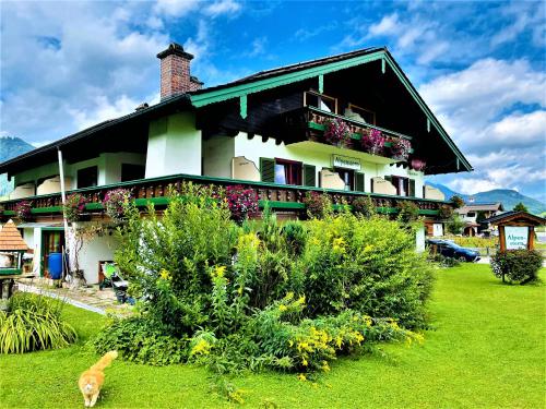 Hotel - Pension Alpenstern