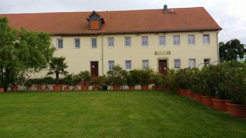 Kornkäfer Kleinmockritz