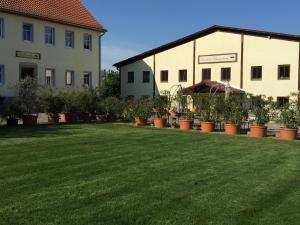 Kornkäfer Kleinmockritz