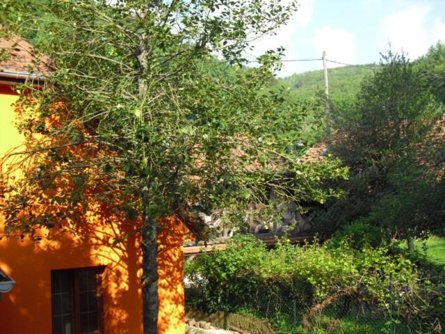 KRYSTALL Hotel