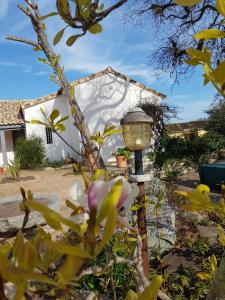 L'enclos du vieux chêne