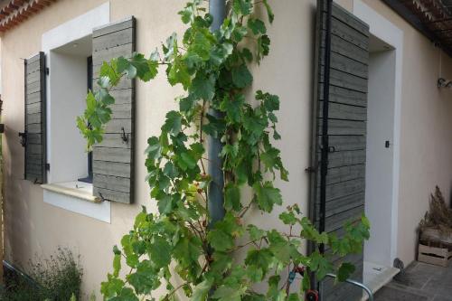 L'Etoile du Ventoux - Nyons Vaison la Romaine - 2pers