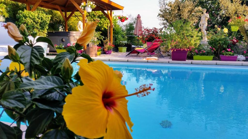 L'Hermine Occitane B&B Le Coulat, 31430 Gratens